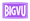 Bigvu logo